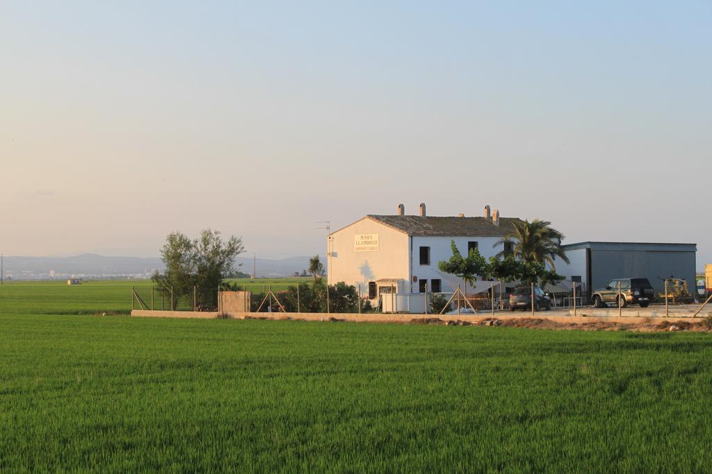 Masia Llambrich Deltebre Kültér fotó